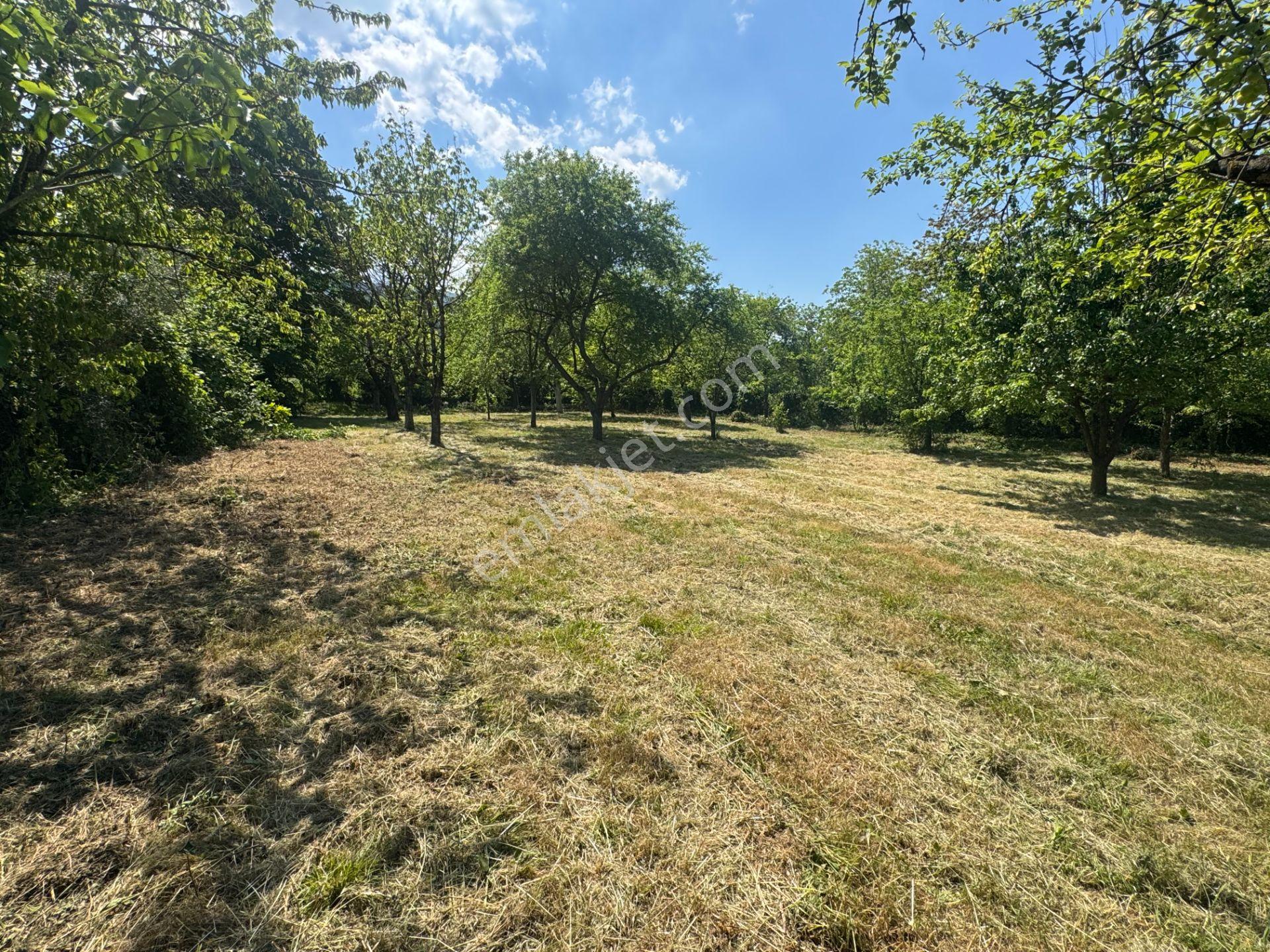 Sapanca’da Satılık 2620 M2 Konut Ve Ticari İmarlı Arsa - Görsel 24