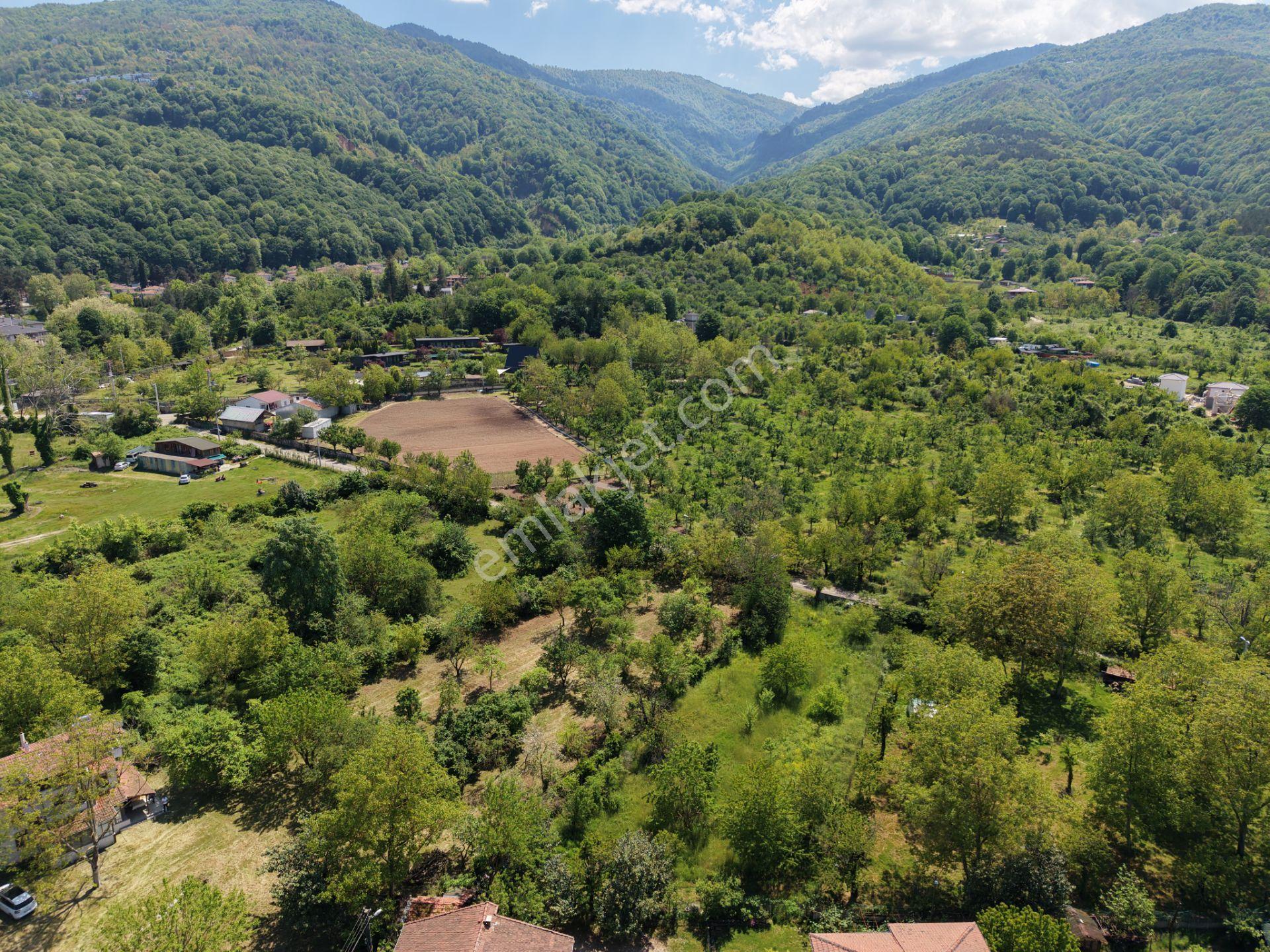 Sapanca’da Satılık 2620 M2 Konut Ve Ticari İmarlı Arsa - Görsel 14