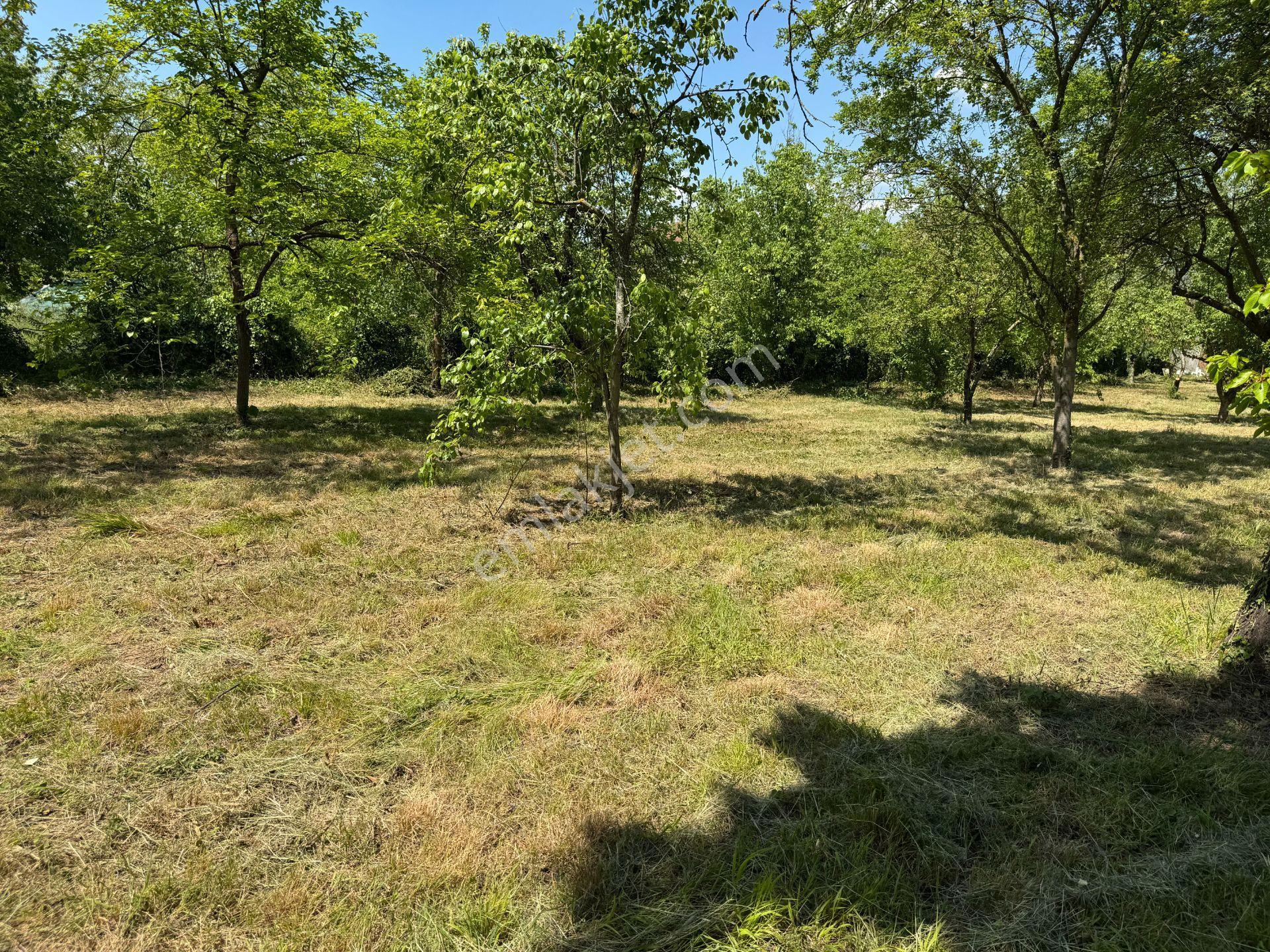 Sapanca’da Satılık 2620 M2 Konut Ve Ticari İmarlı Arsa - Görsel 25