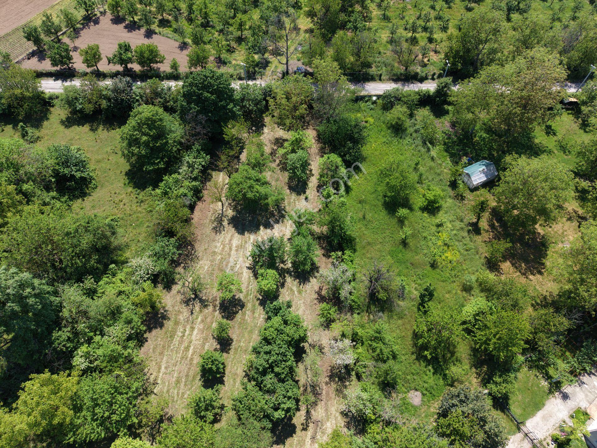 Sapanca’da Satılık 2620 M2 Konut Ve Ticari İmarlı Arsa - Görsel 6