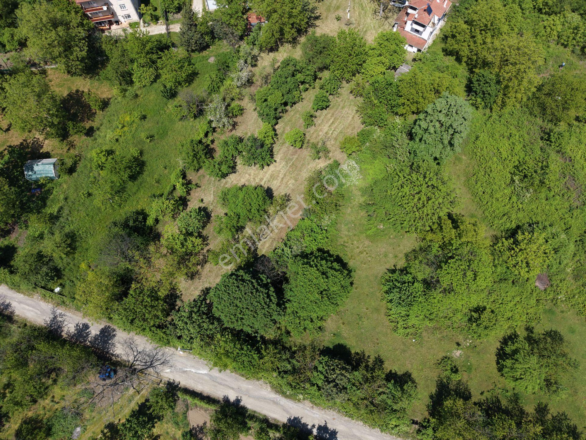 Sapanca’da Satılık 2620 M2 Konut Ve Ticari İmarlı Arsa - Görsel 13