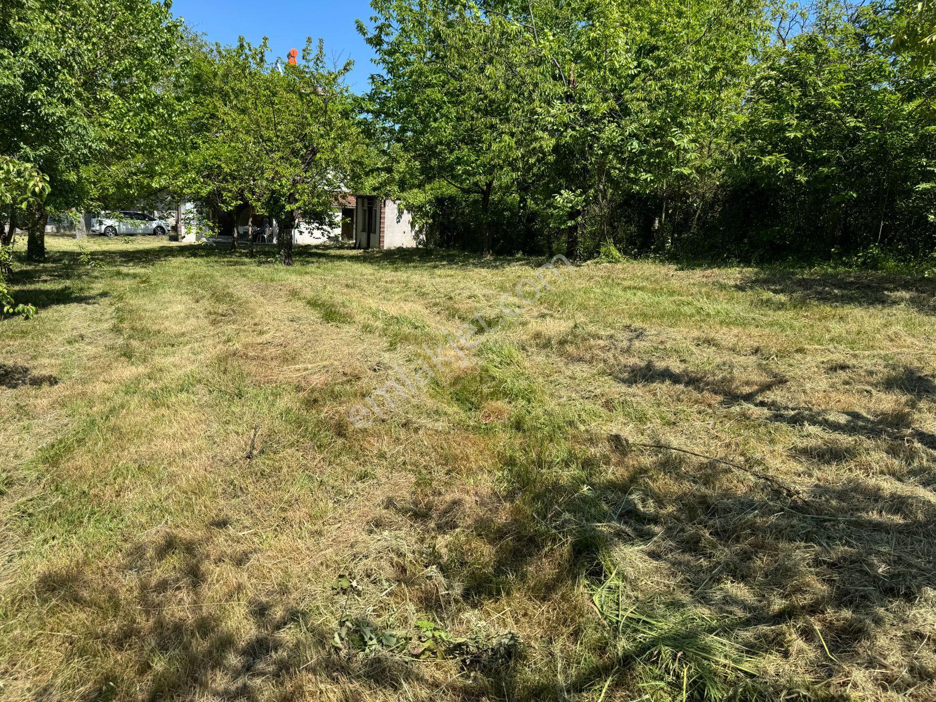 Sapanca’da Satılık 2620 M2 Konut Ve Ticari İmarlı Arsa - Görsel 28