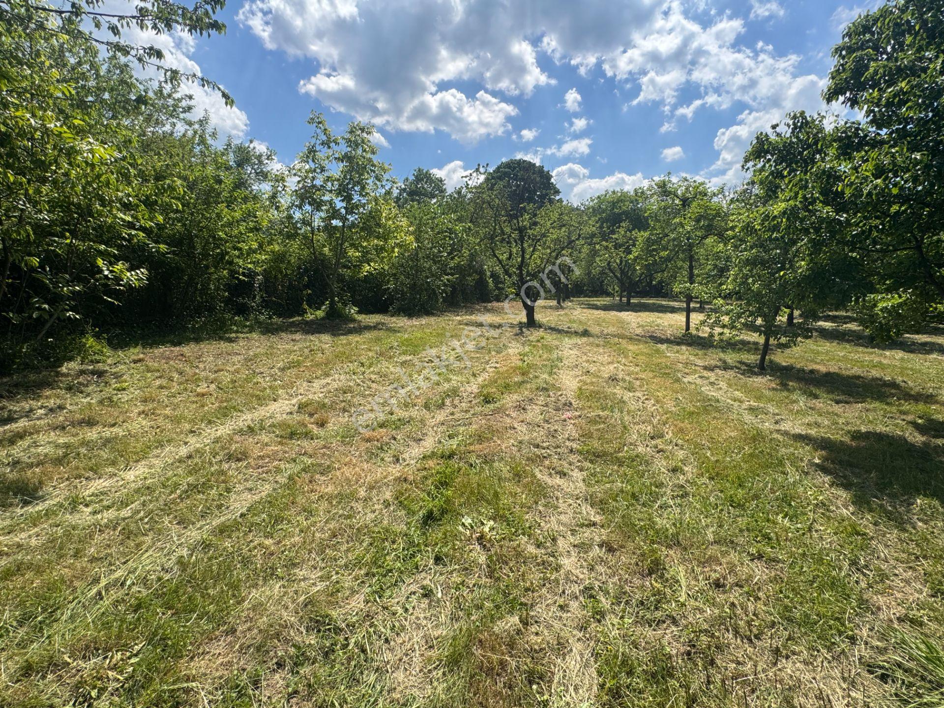 Sapanca’da Satılık 2620 M2 Konut Ve Ticari İmarlı Arsa - Görsel 22