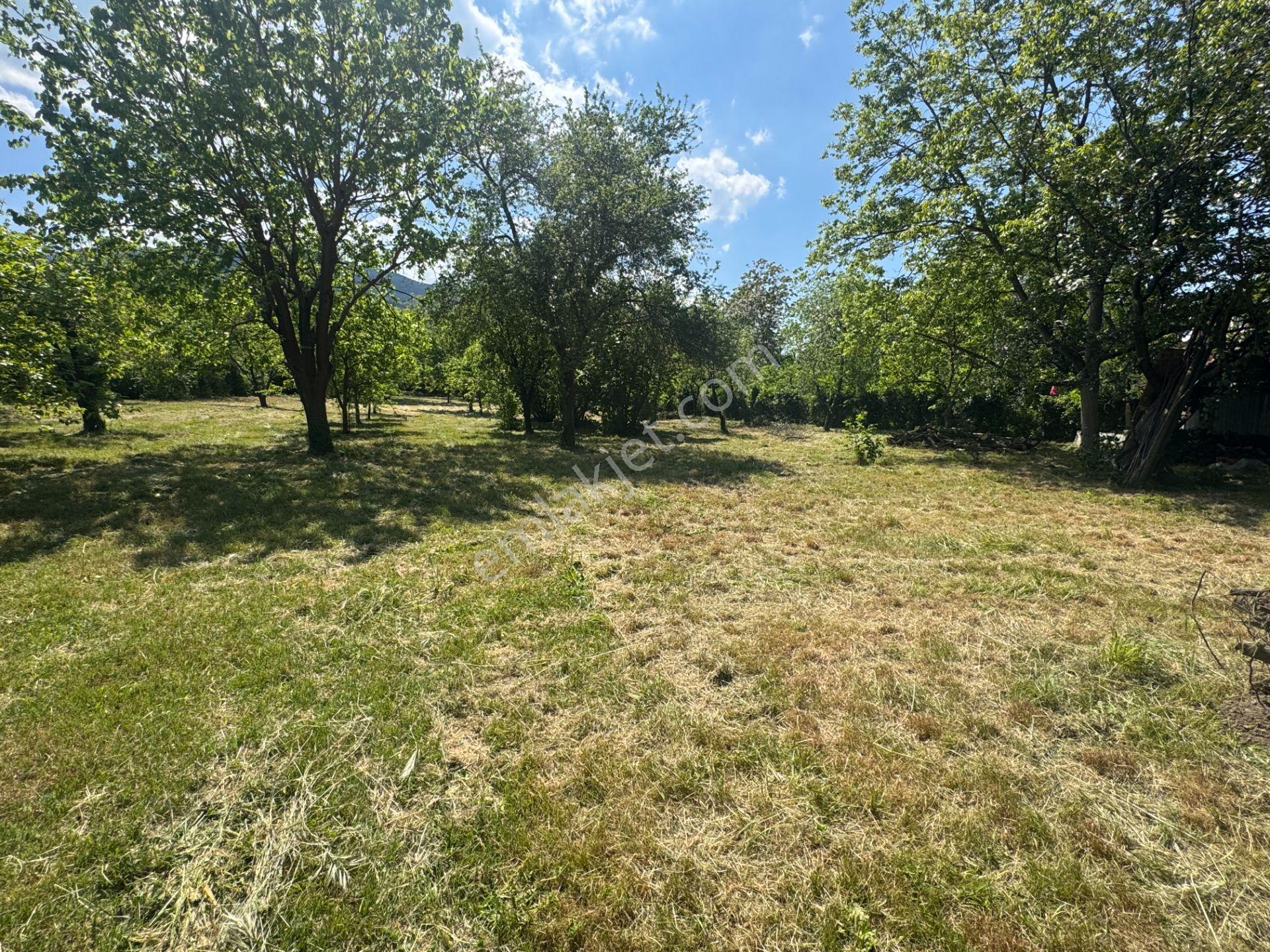 Sapanca’da Satılık 2620 M2 Konut Ve Ticari İmarlı Arsa - Görsel 20