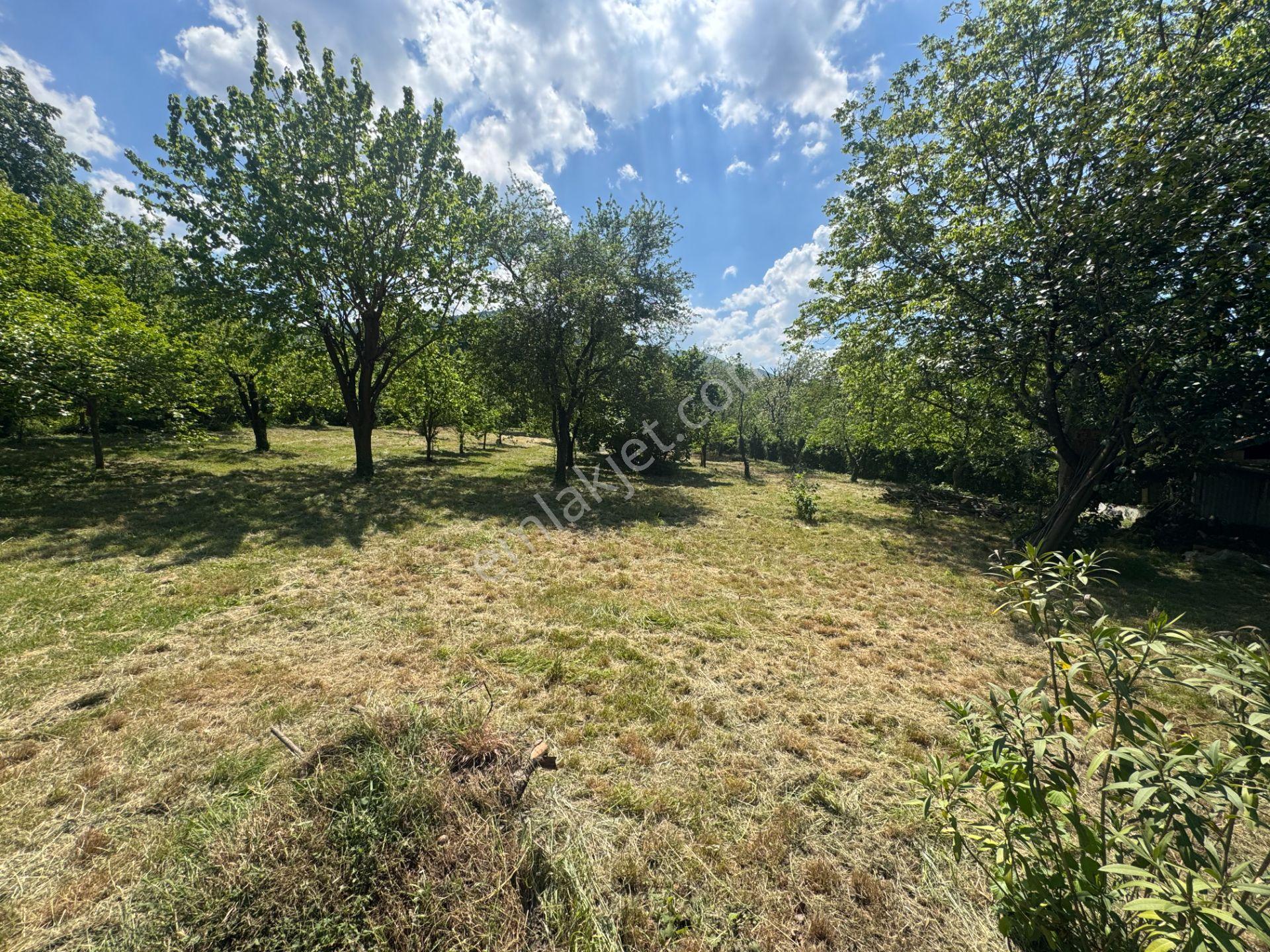 Sapanca’da Satılık 2620 M2 Konut Ve Ticari İmarlı Arsa - Görsel 33
