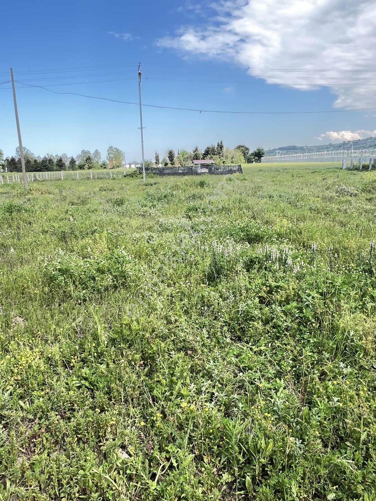 Kozköyde Sahile 200 M Villa Arsası - Görsel 3