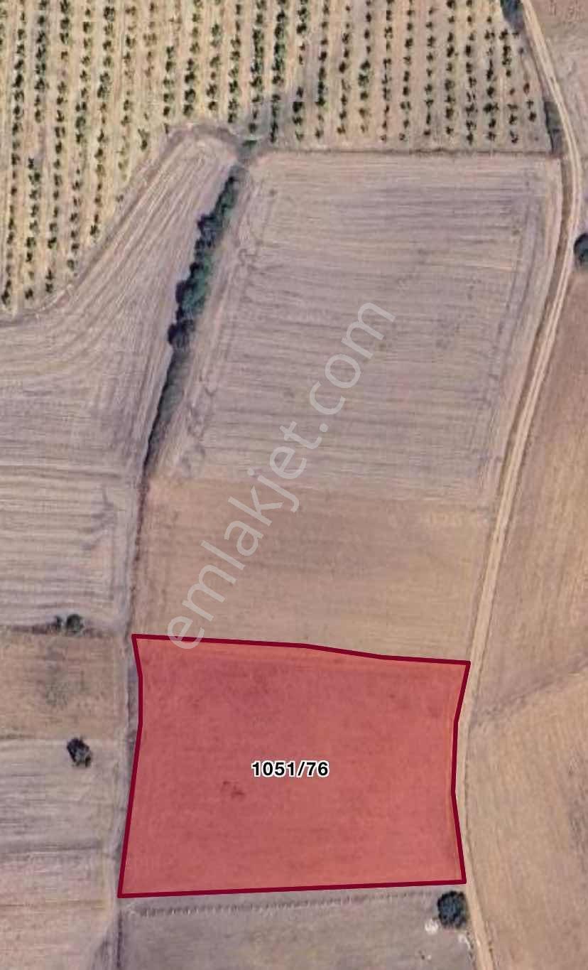 Yenişehir Barcın Yatırımlık Tarla - Görsel 2
