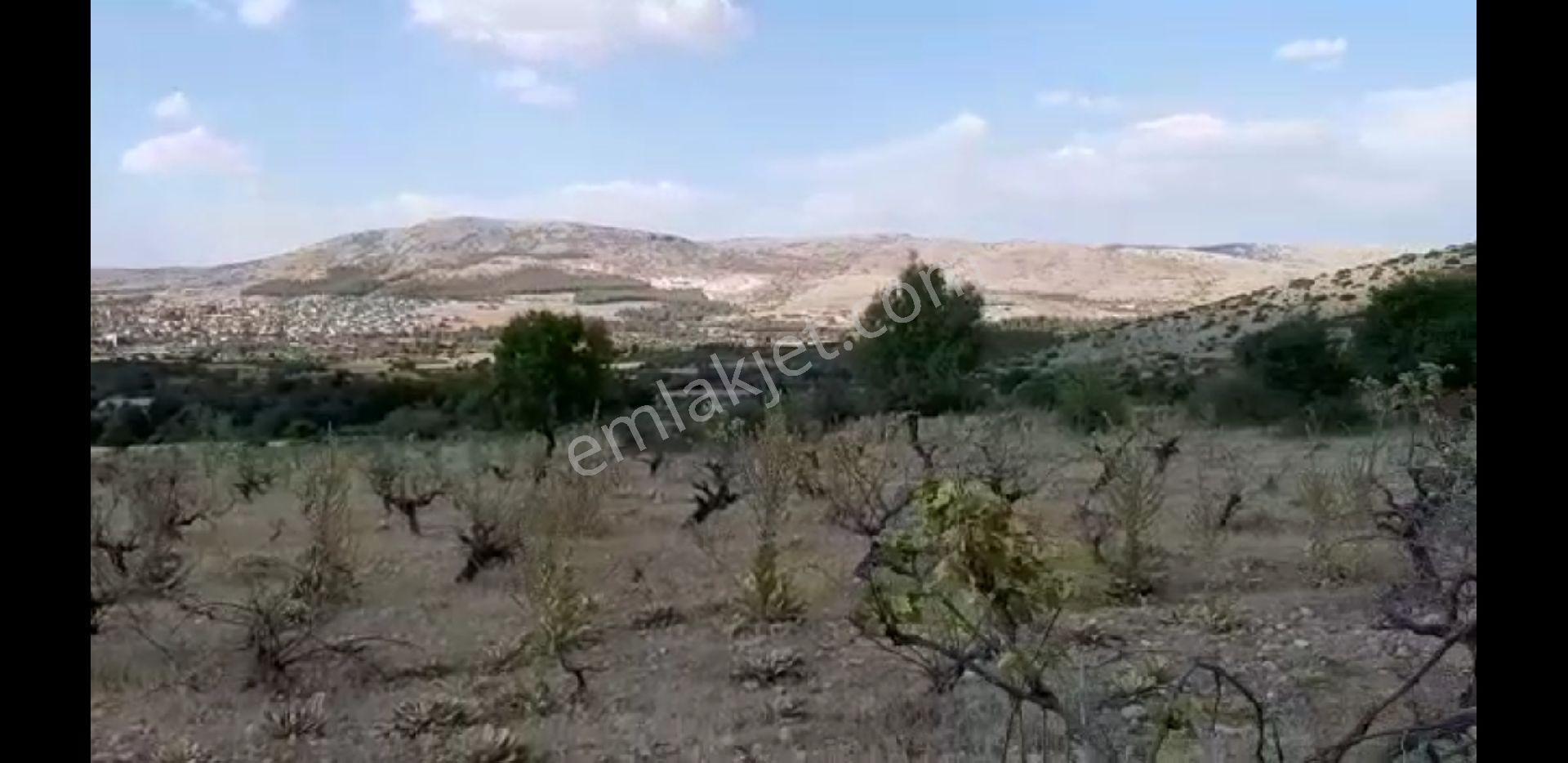 4750m2 Yapı Denetim Belgeli - Görsel 4