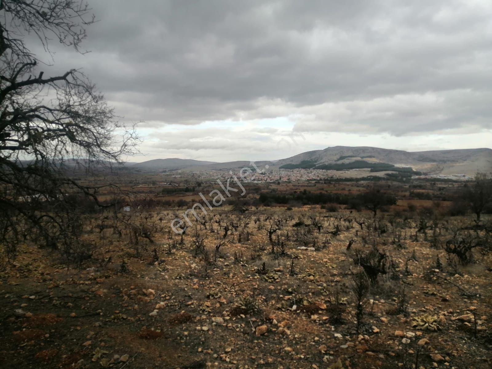 4750m2 Yapı Denetim Belgeli - Görsel 6