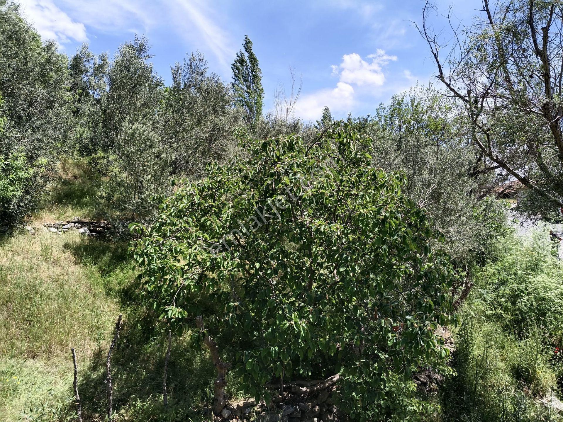 Çamoba'da Ana Yola Cephe 177 M2 İmarlı Arsa - Görsel 9