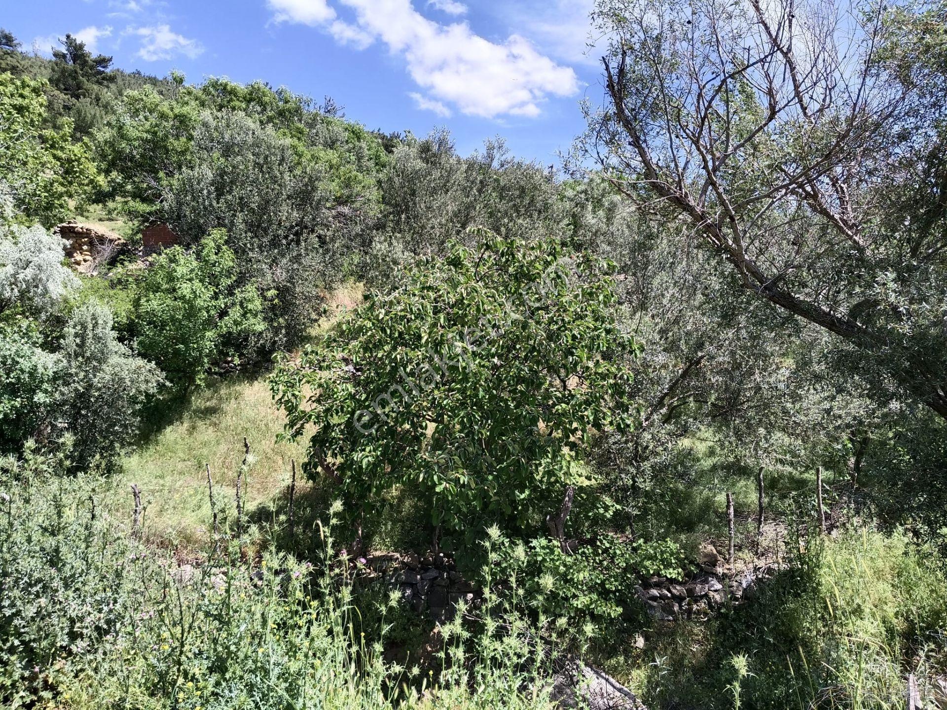 Çamoba'da Ana Yola Cephe 177 M2 İmarlı Arsa - Görsel 11