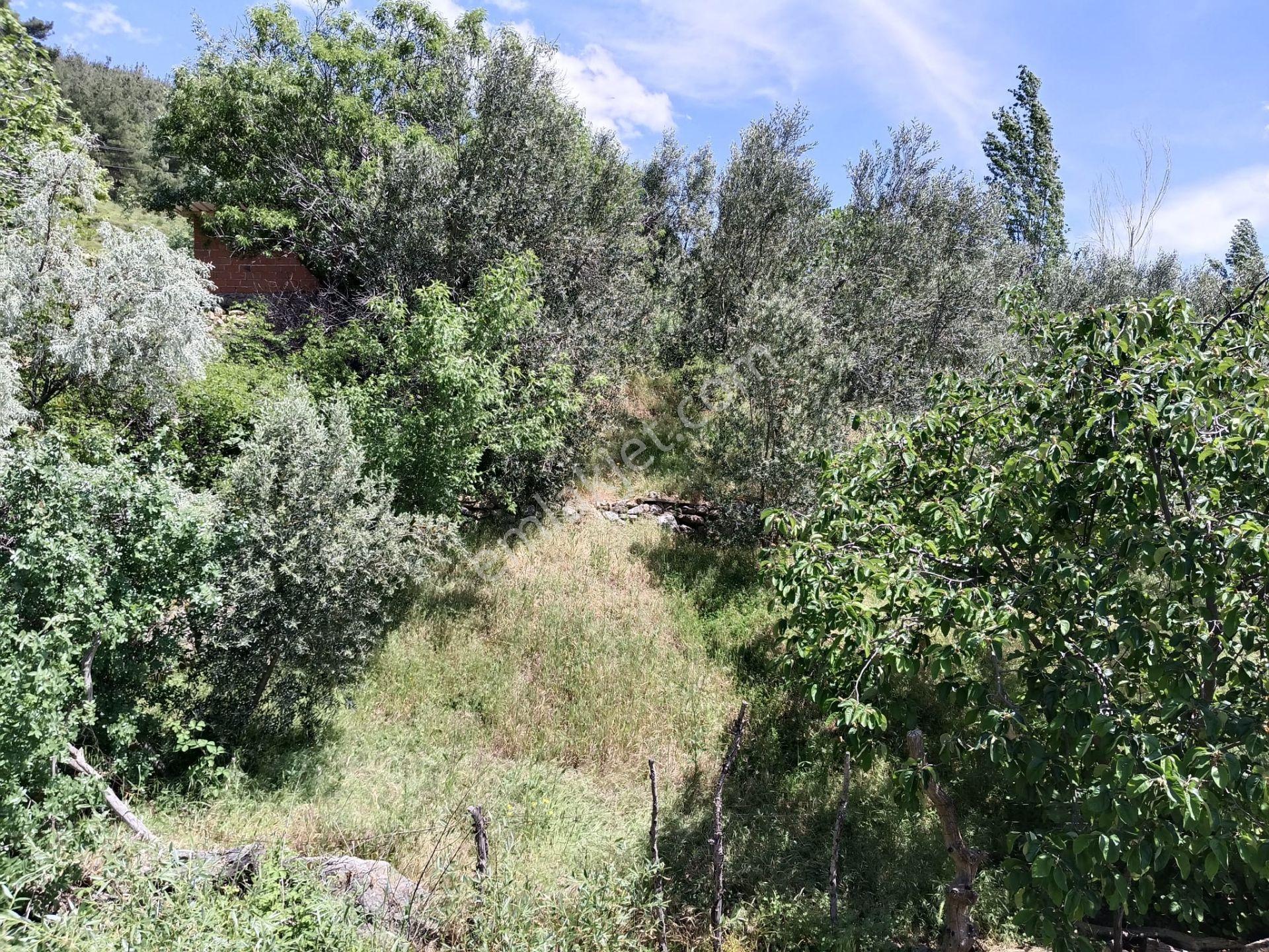 Çamoba'da Ana Yola Cephe 177 M2 İmarlı Arsa - Görsel 15