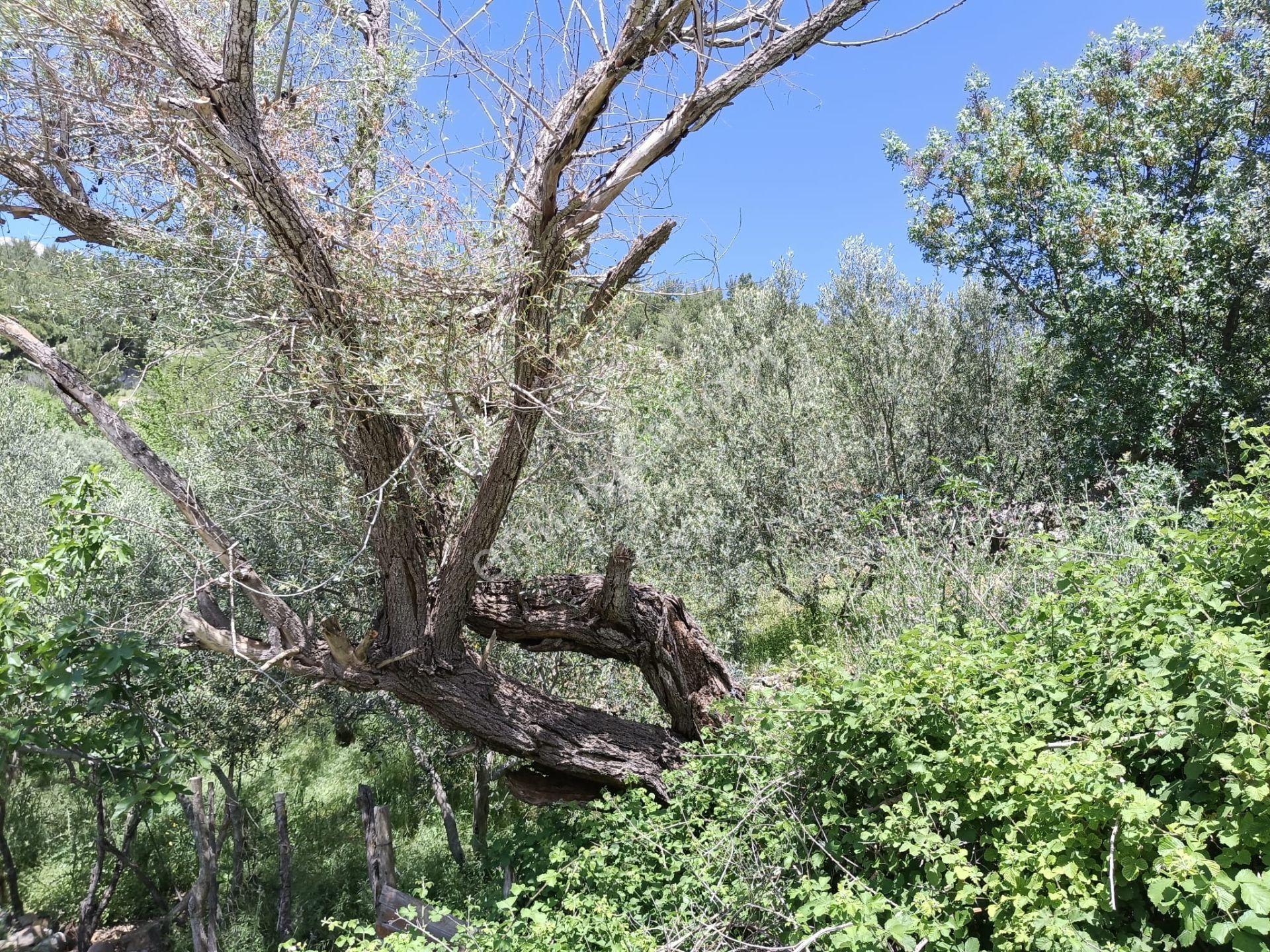 Çamoba'da Ana Yola Cephe 177 M2 İmarlı Arsa - Görsel 10