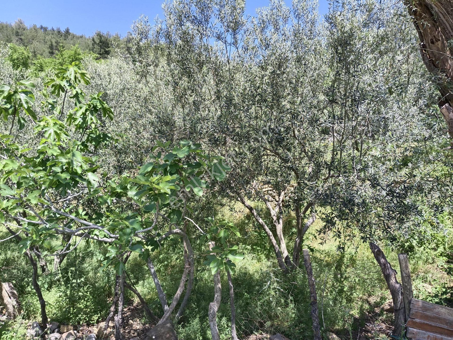 Çamoba'da Ana Yola Cephe 177 M2 İmarlı Arsa - Görsel 8