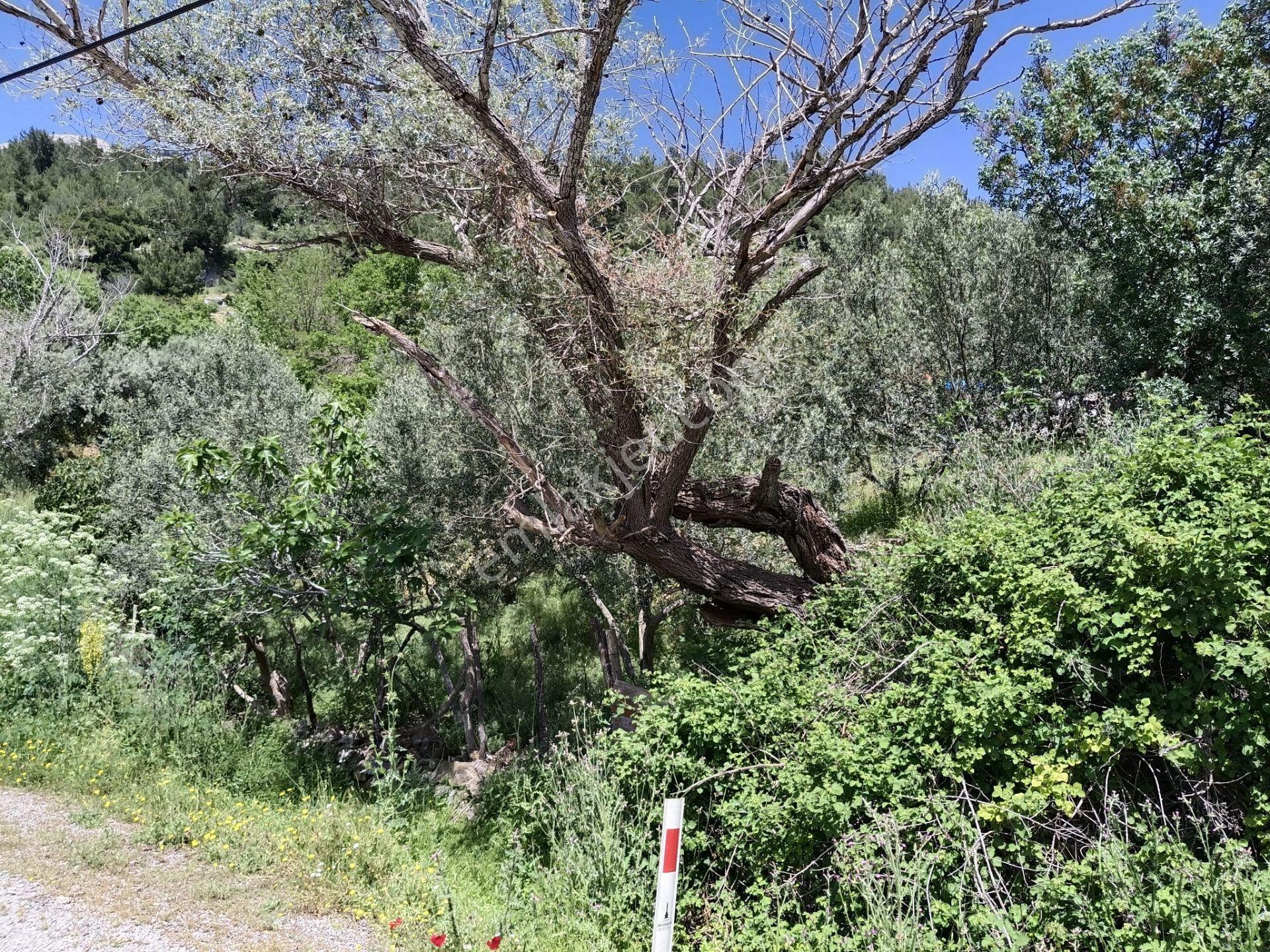 Çamoba'da Ana Yola Cephe 177 M2 İmarlı Arsa - Görsel 14