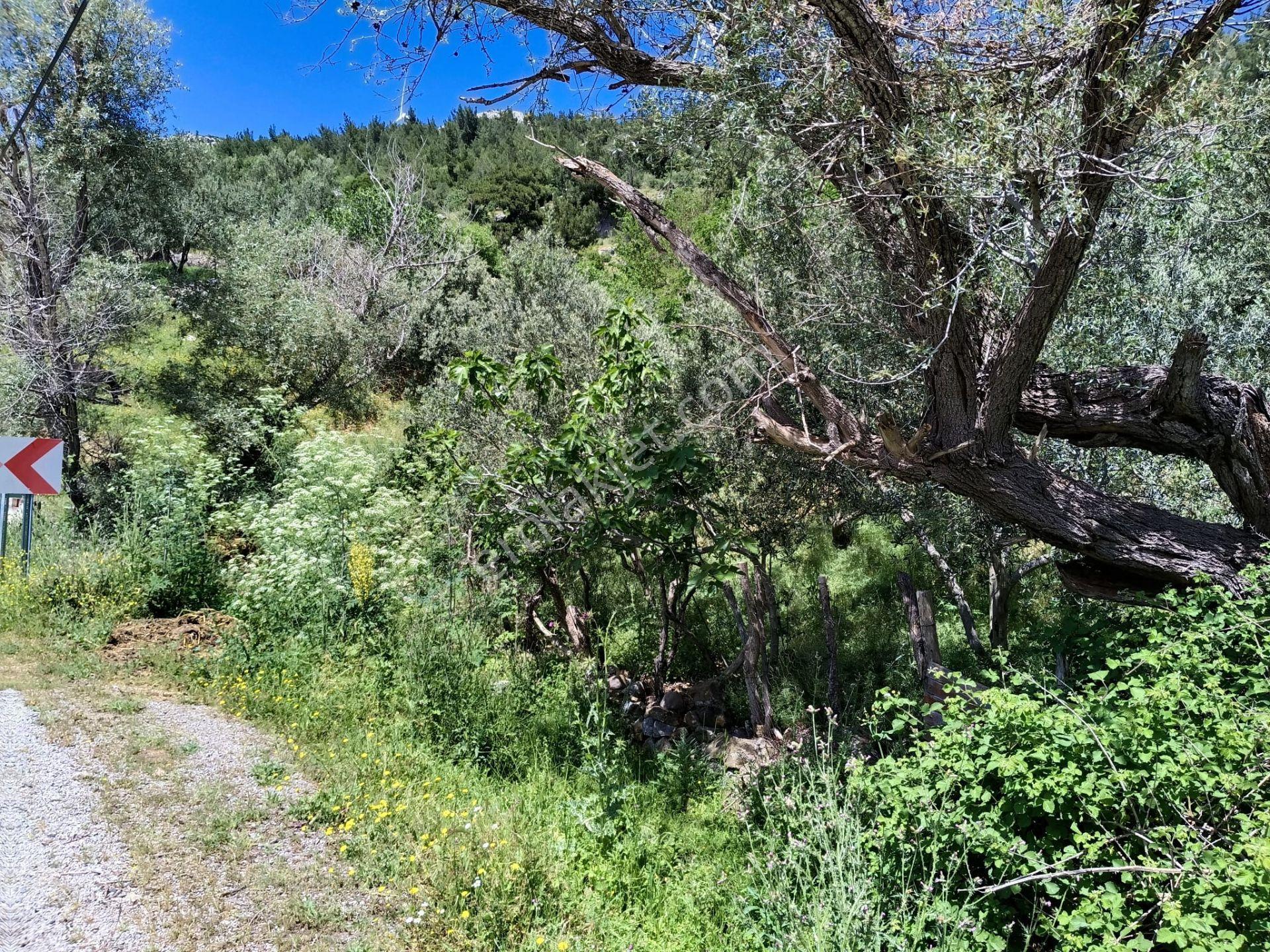 Çamoba'da Ana Yola Cephe 177 M2 İmarlı Arsa - Görsel 5