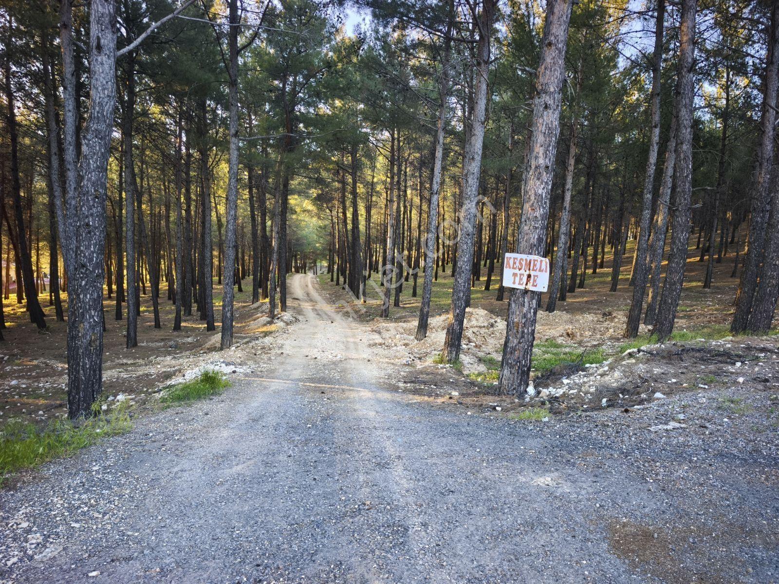 Yıldırım Emlak'tan Sarıkaya'da Fırsat 3.362 M2 Satılık Bağ Evi - Görsel 10