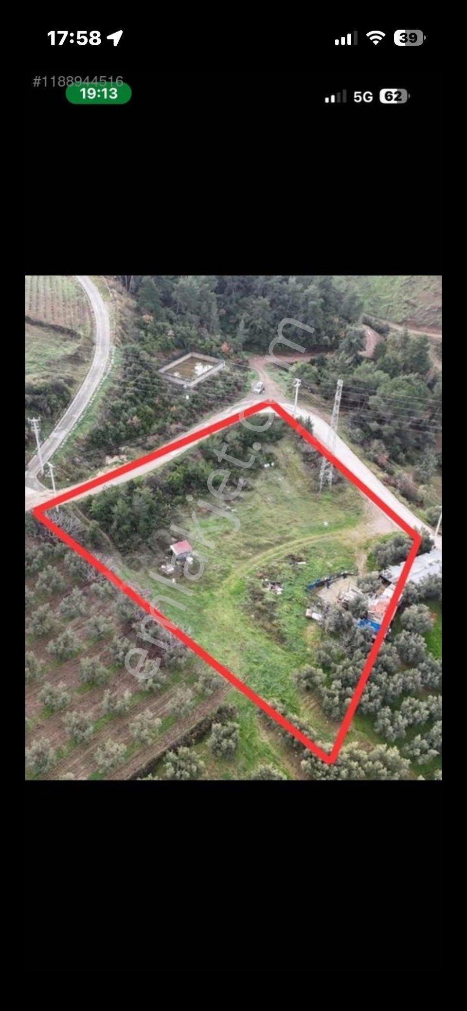 Bursa Mudanya Altintas Koyu Satilik Tarla - Görsel 8