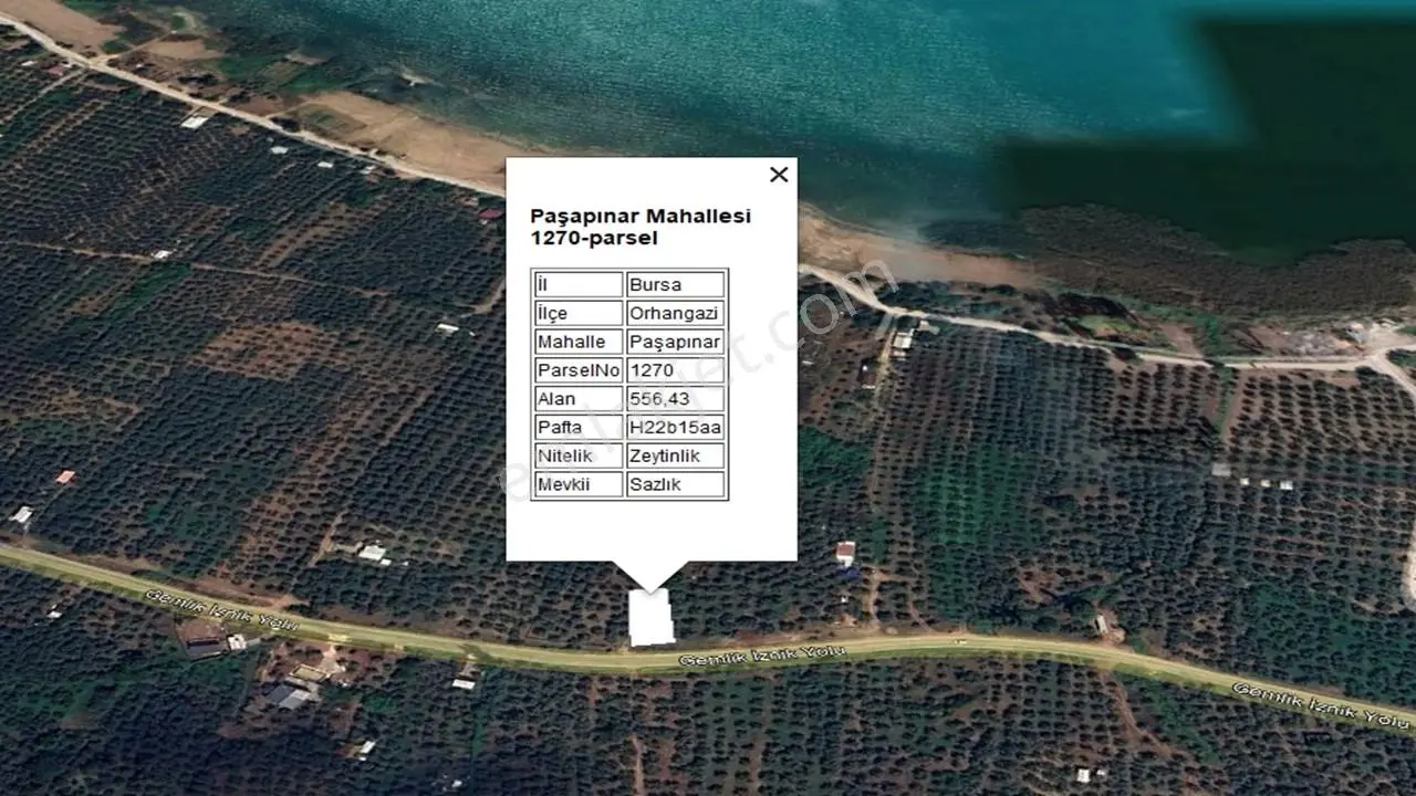 Dialog Mega'danbursa Orhangazi Paşapınar Zeytinlik - Görsel 3