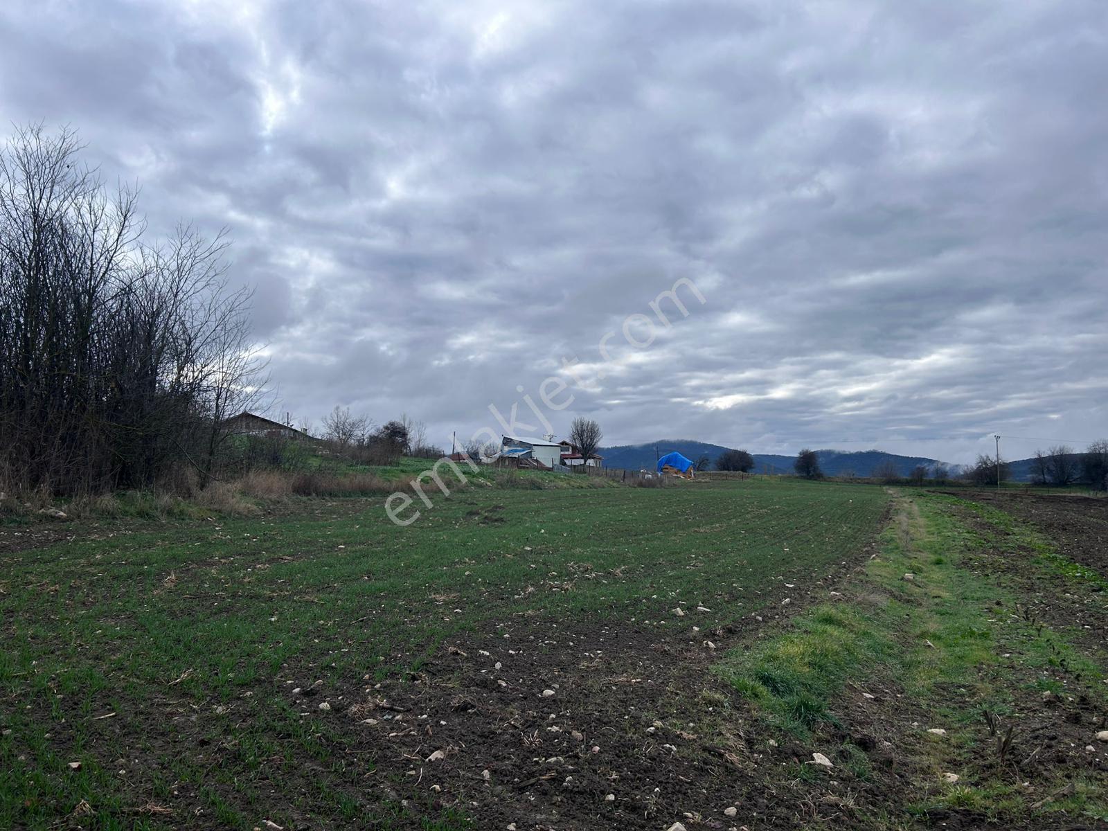 Bolu Mudurnu Göllüören Köyünde Satılık Tarla - Görsel 5