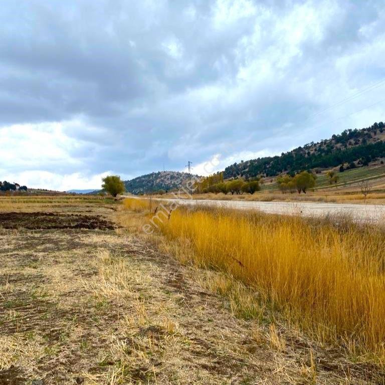 Asfalt Yola Cepheli, Müstakil Tapulu 2051 M² Arsa Fırsatı! - Görsel 2