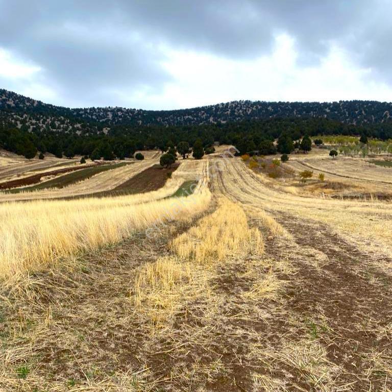 Asfalt Yola Cepheli, Müstakil Tapulu 2051 M² Arsa Fırsatı! - Görsel 3
