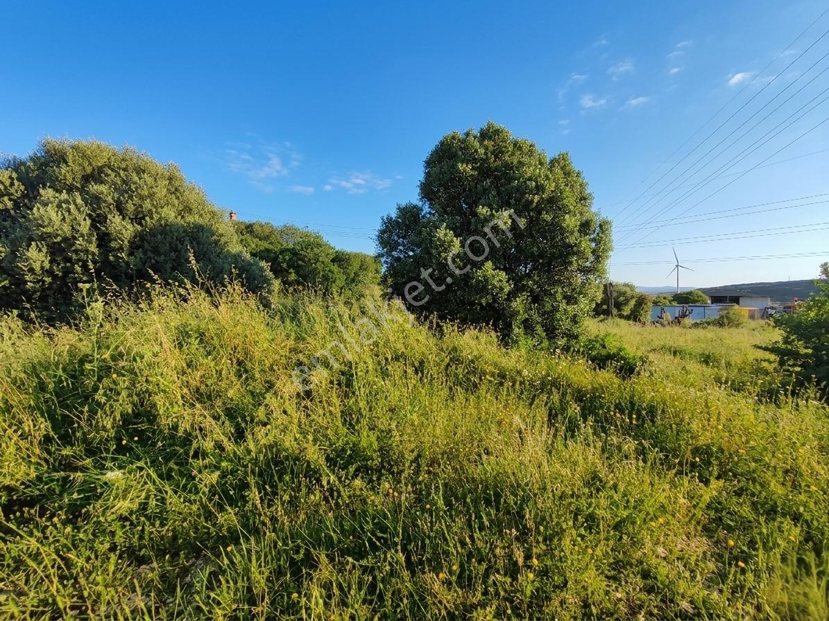 Çeşme Alaçatı'da 578 M2 Villa İmarlı Satılık Arsa - Görsel 6