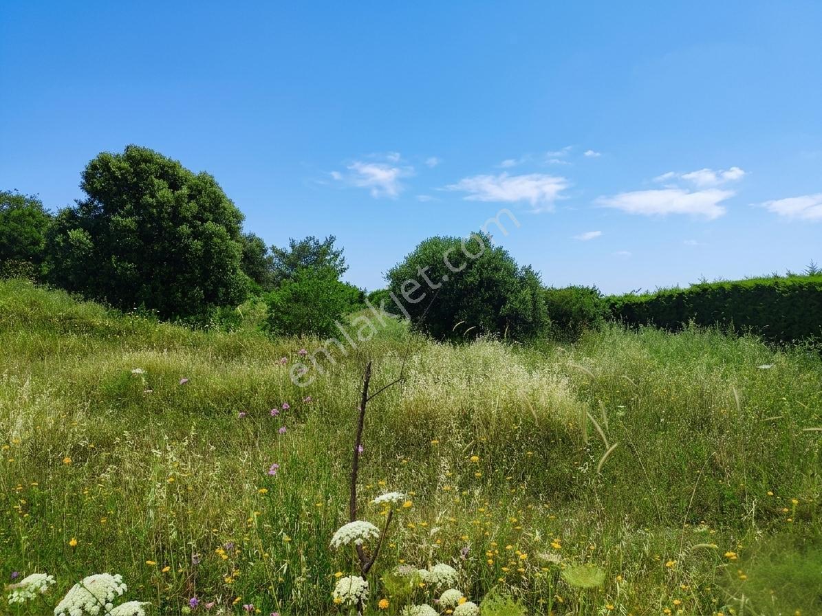 Çeşme Alaçatı'da 578 M2 Villa İmarlı Satılık Arsa - Görsel 8