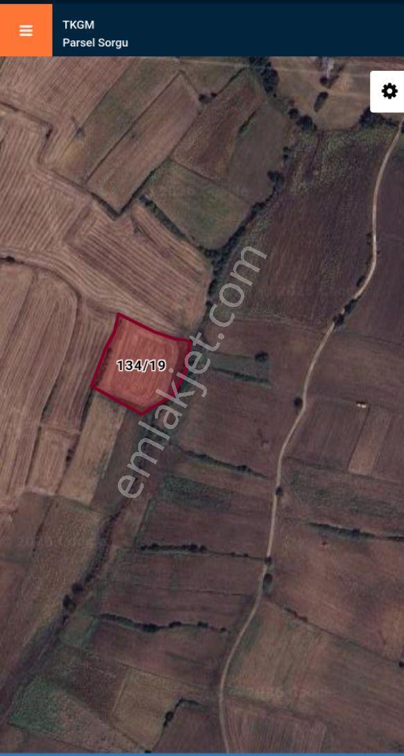 Tek Tapu 4390 M2 Yatırımlık Tarla - Görsel 2