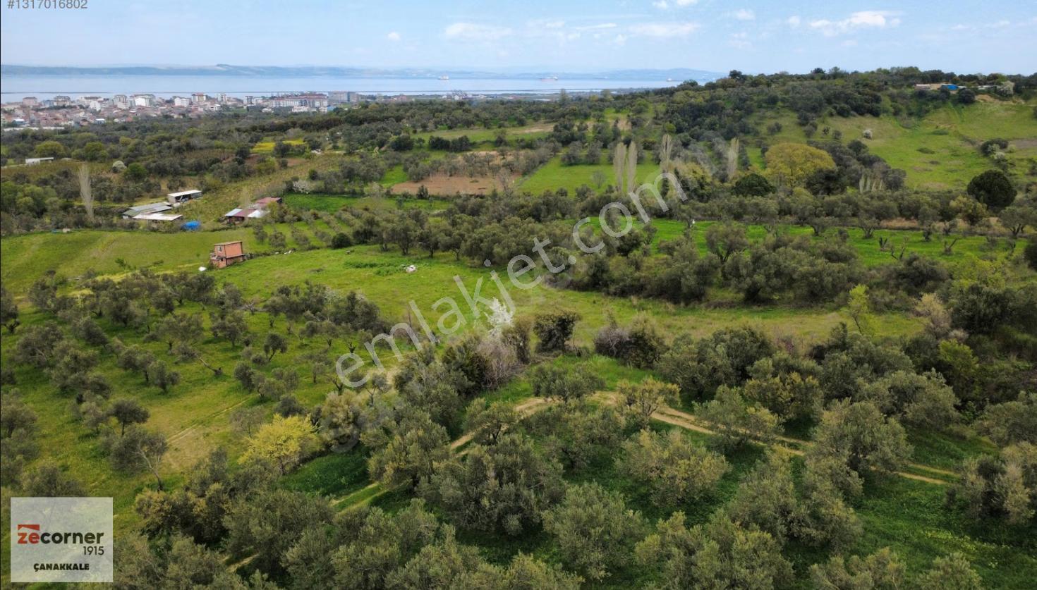 Çanakkale Lapseki Çardak'ta Satılık 3490 M2 Bağ - Görsel 7