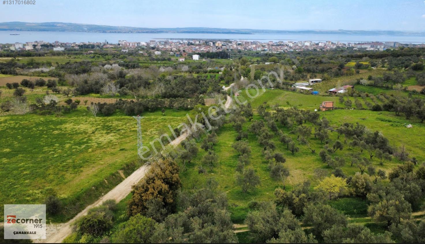 Çanakkale Lapseki Çardak'ta Satılık 3490 M2 Bağ - Görsel 2