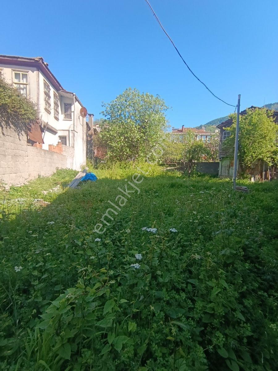 Zeybek*den İnebolu Merkezi 500.m2 Arsa İçinde 2.adet Ahsap Ev - Görsel 6