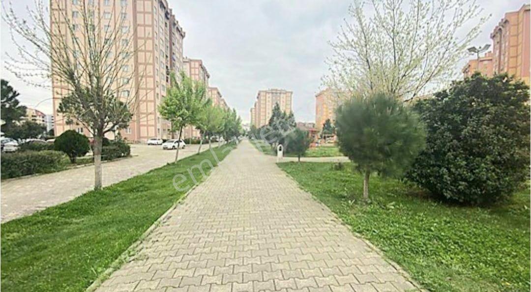 Rw Land Gayrimenkul Yunuseli Toki Konutları 3+1 Kiralık Daire - Görsel 5