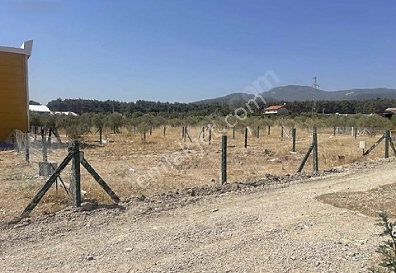 Sahibinden Satılık Arsa