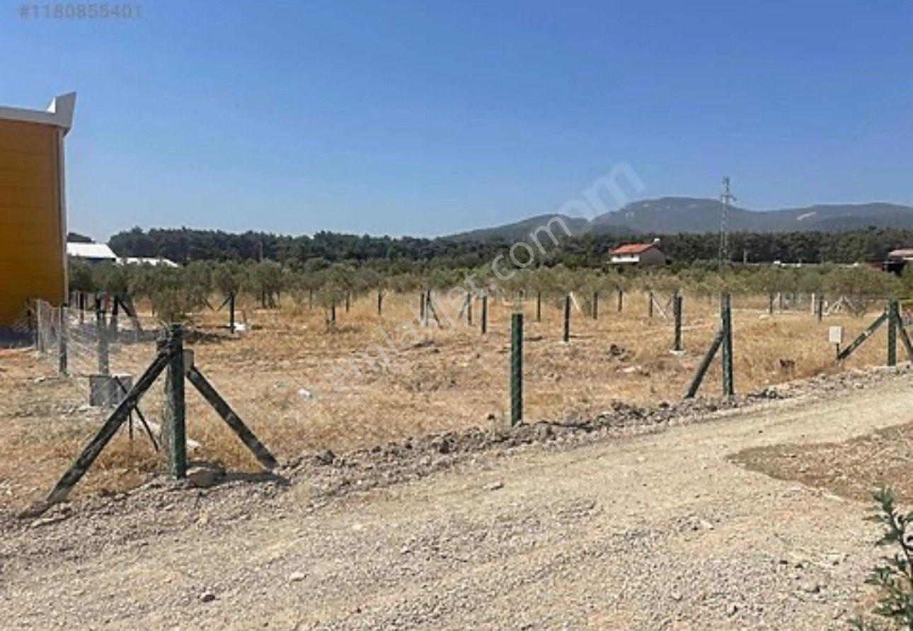 Sahibinden Satılık Arsa - Görsel 2
