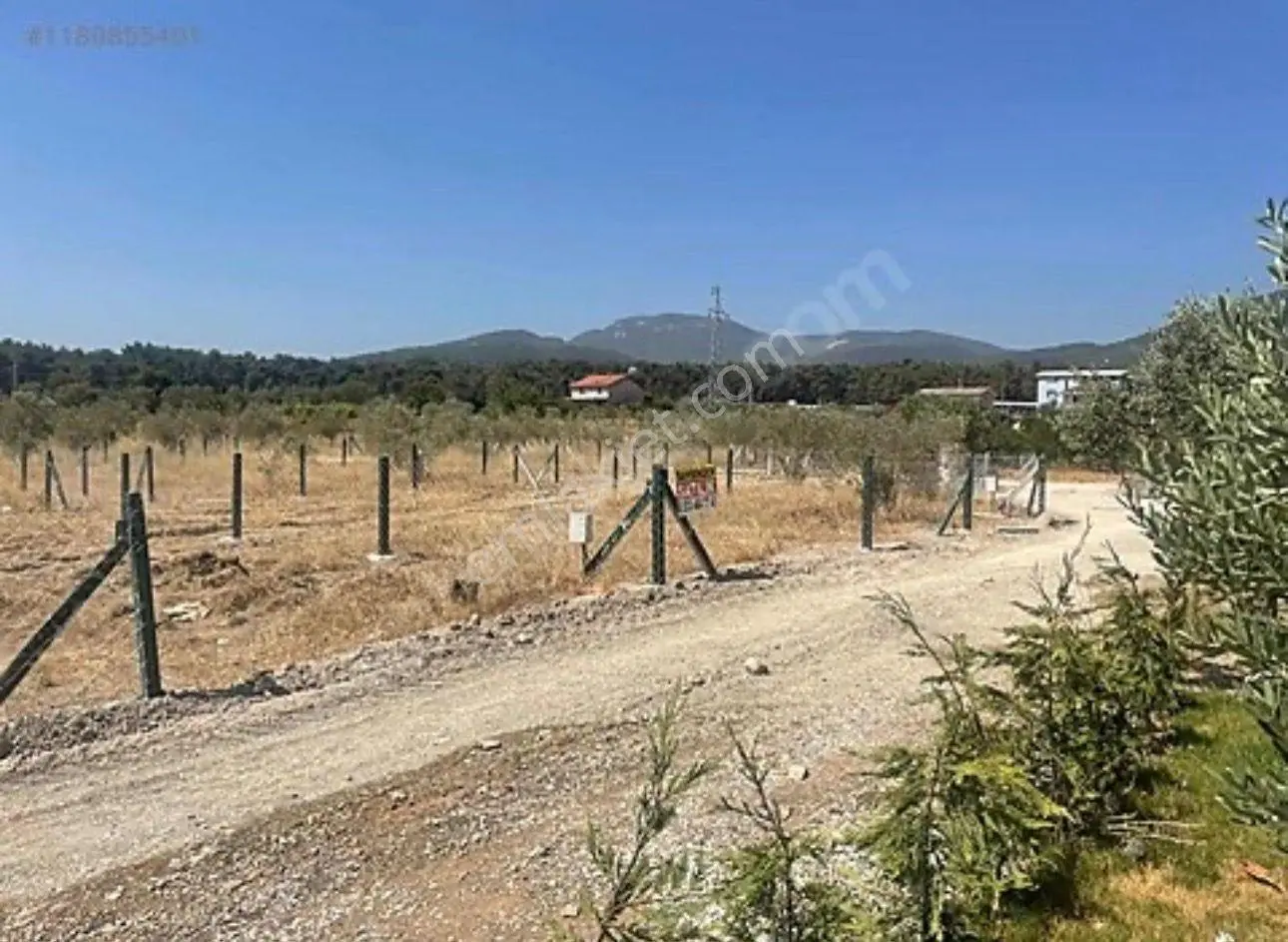 Sahibinden Satılık Arsa