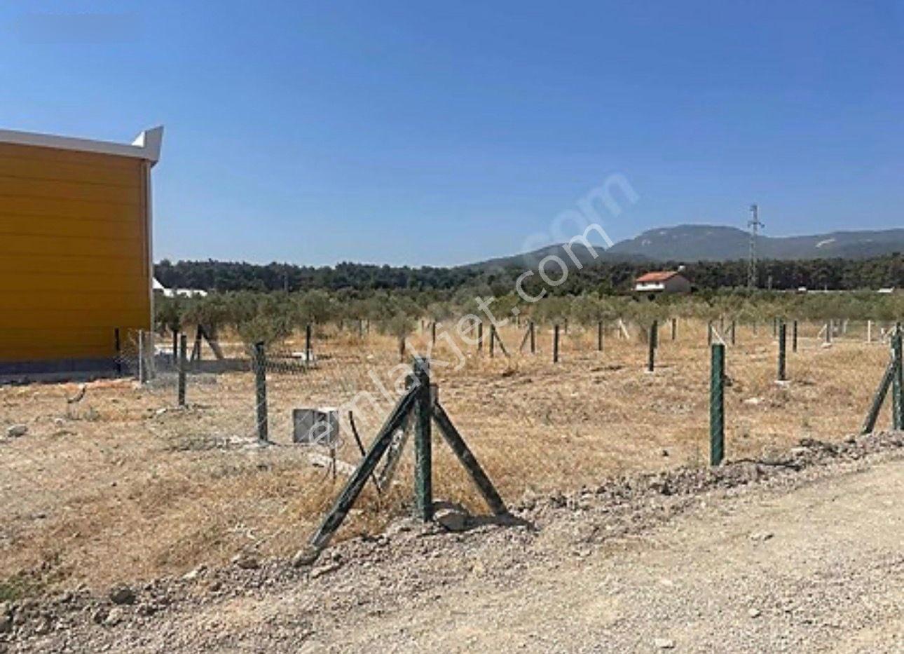 Sahibinden Satılık Arsa