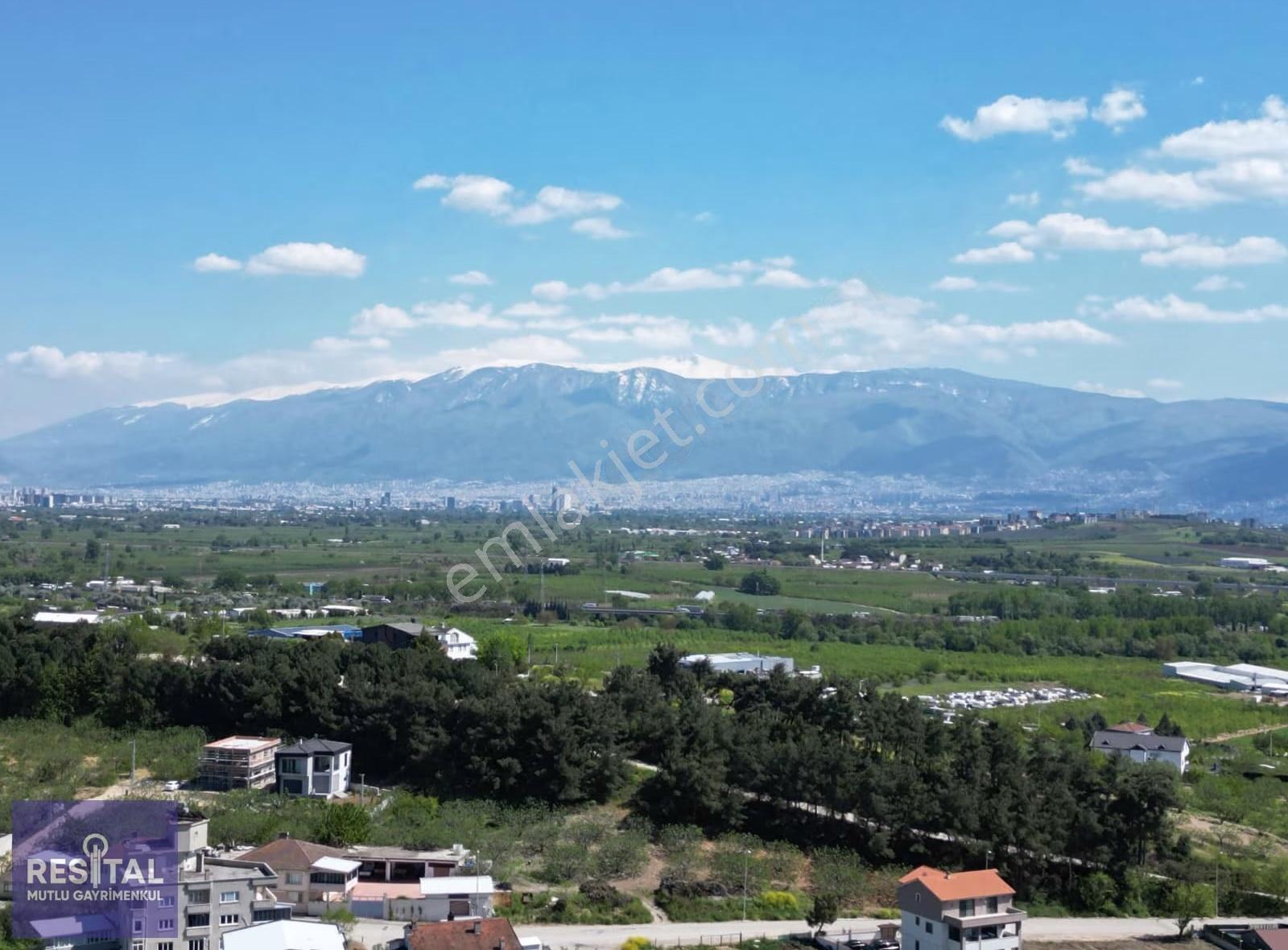 Rs Mutlu'dan Ahmetbey Köy'de Tek Tapu Satılık Zeytinlik - Görsel 7
