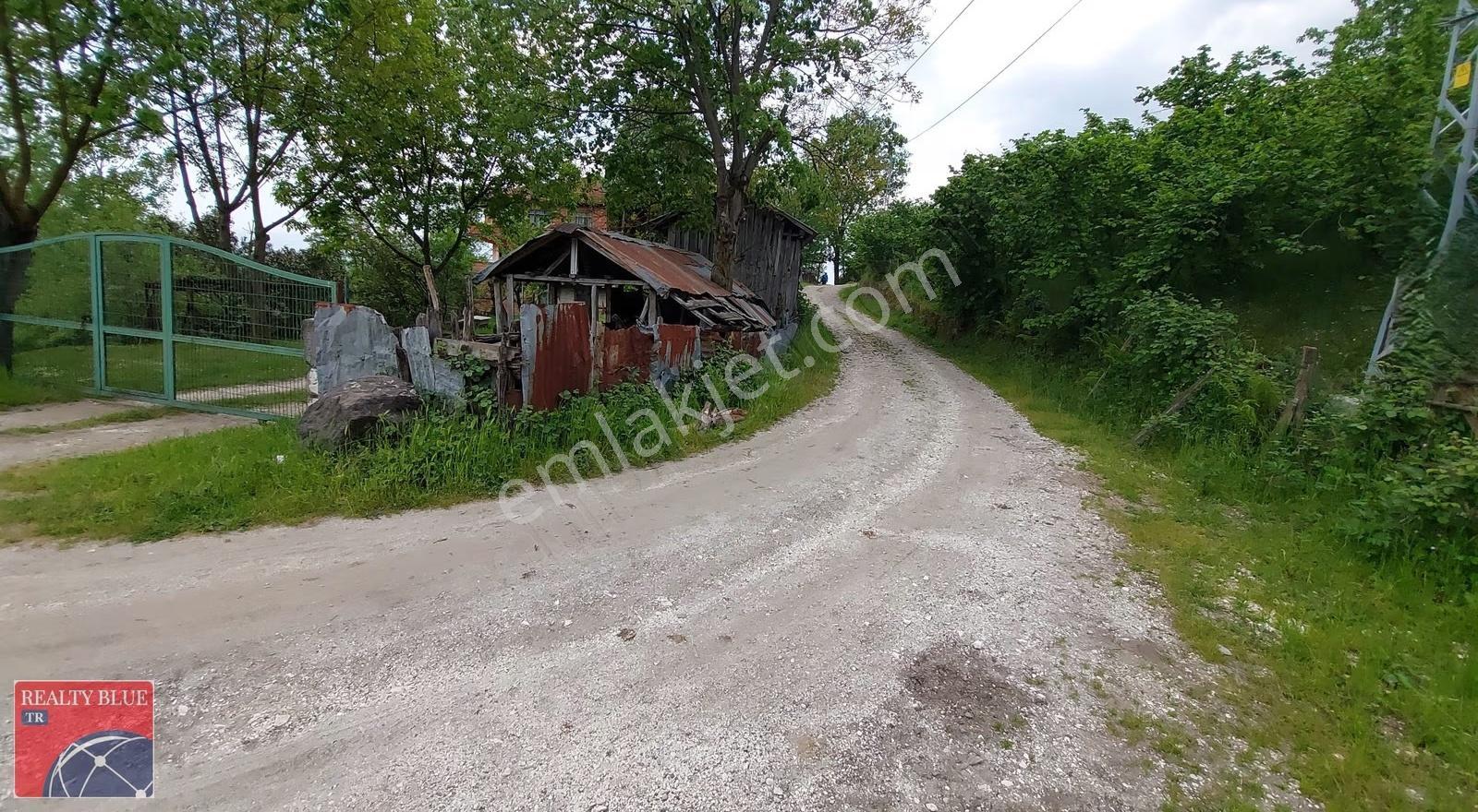 Düzce|merkez Mh|gölormanı Mevkinde Satılık Arazi/arsa - Görsel 2