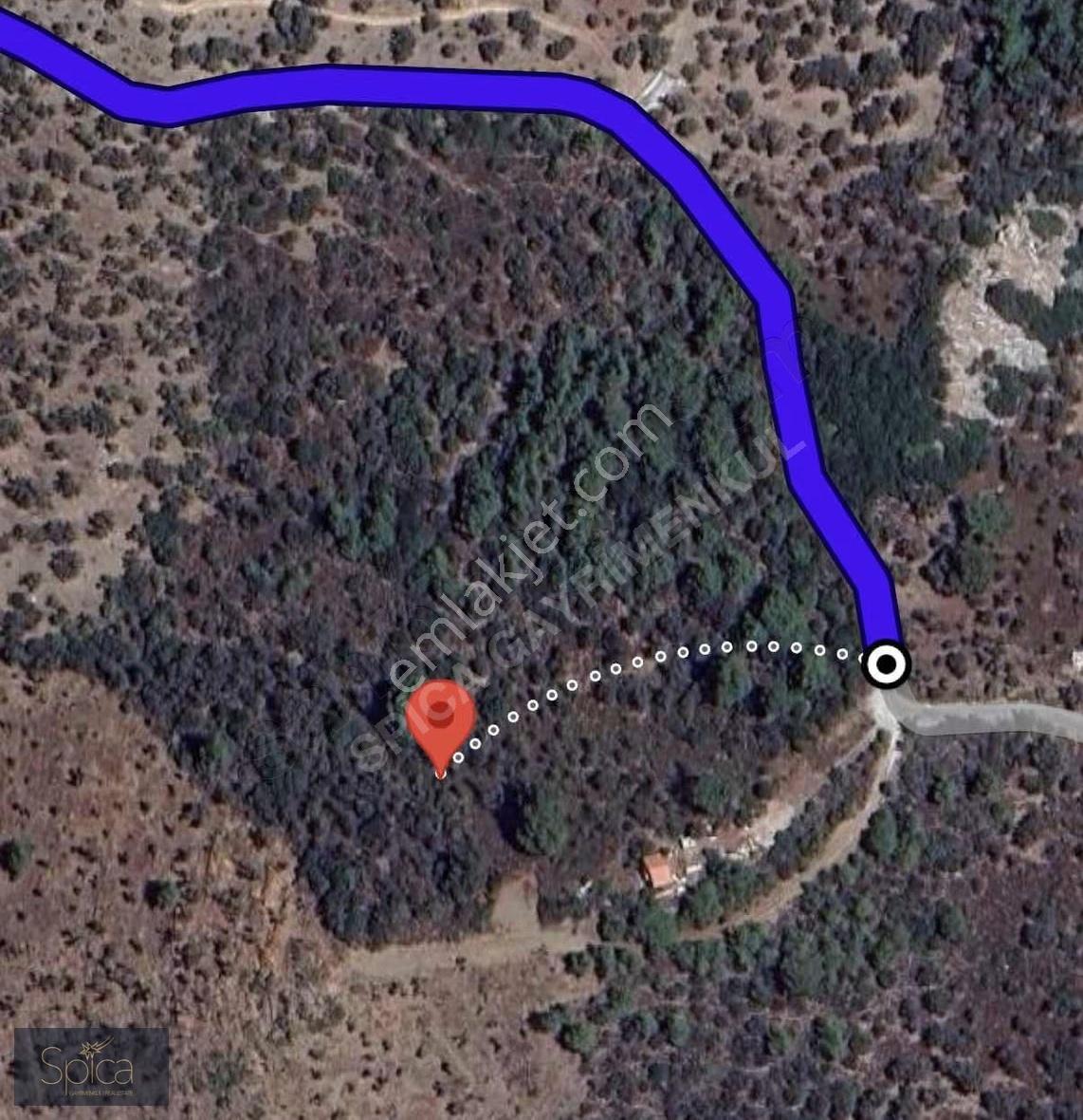 Seferihisar'da 13.000 M2 Deniz Manz İçinde Ev Bulunan Arazi - Görsel 2