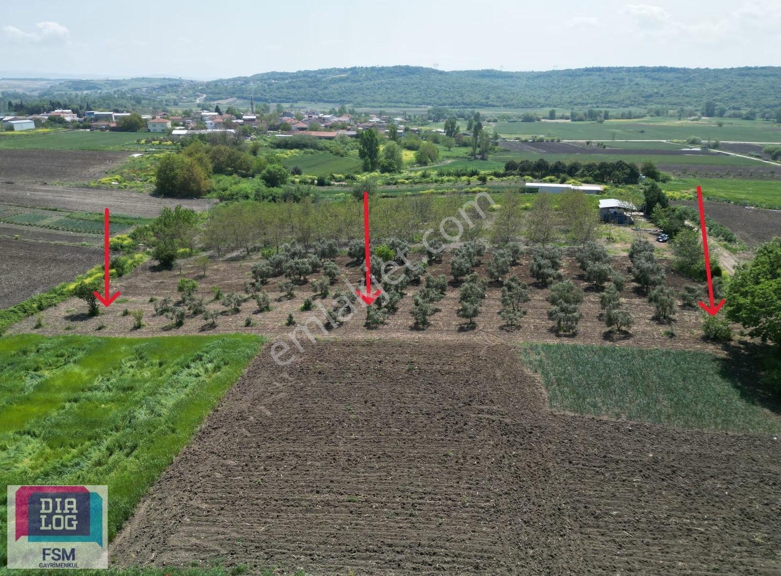 Teknosab Yakını Tek Tapu Köy Mücavir Alanı Yakını Fırsat Arazi - Görsel 7