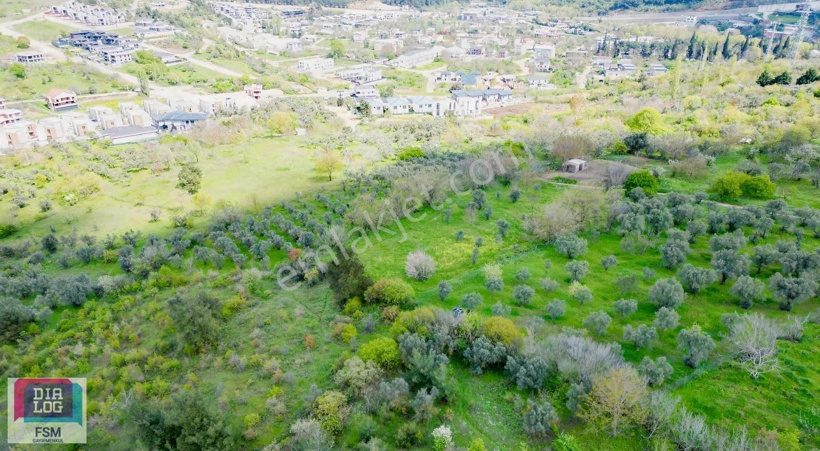 Karacabey Hürriyet Köy Dağ Korusu Mevkii Satılık Arazi - Görsel 3