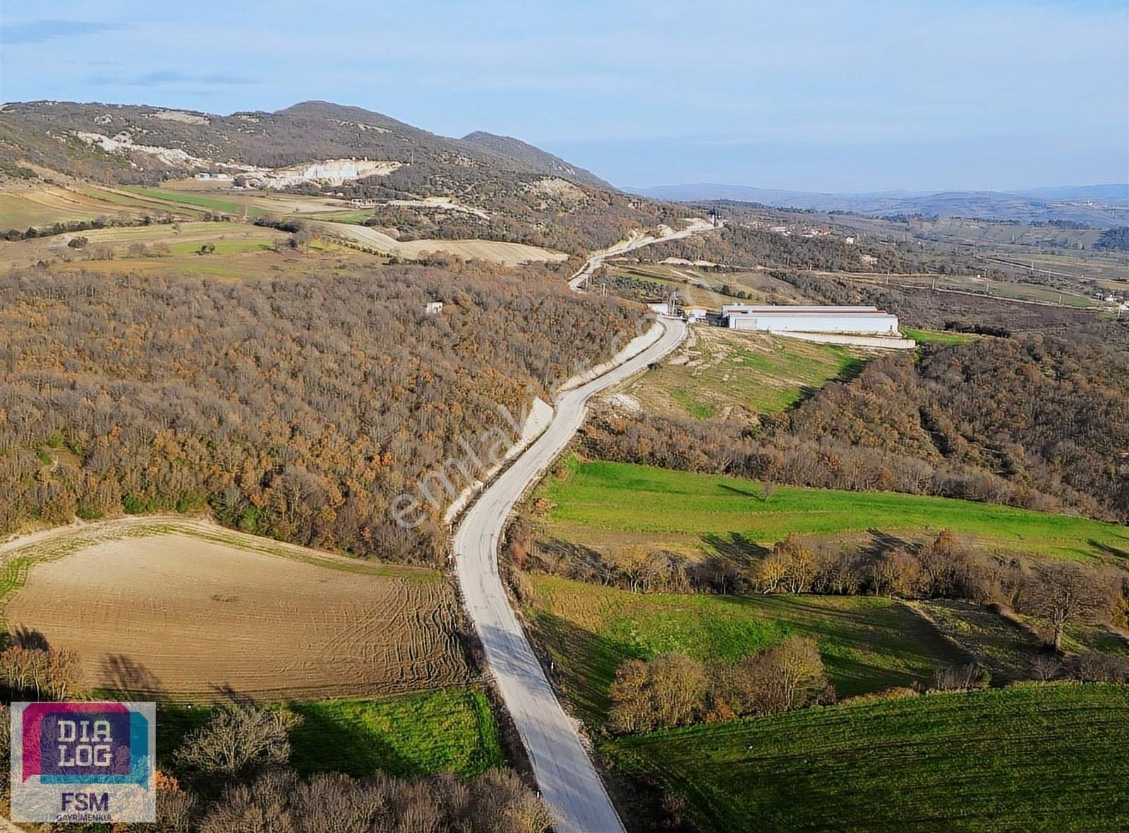 Dialog Fsm Den Tek Tapu Asfalt Yola Yakın 2.450 M2 Hobi Bahçesi - Görsel 8