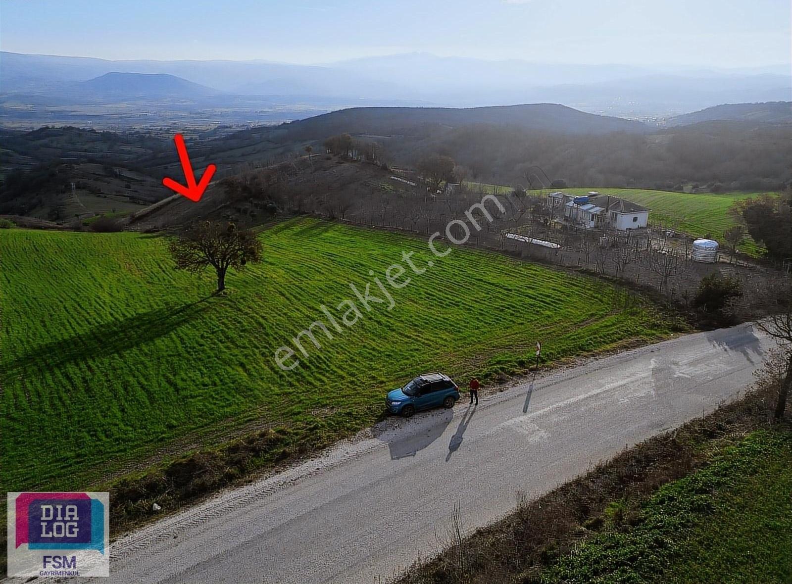 Dialog Fsm Den Tek Tapu Asfalt Yola Yakın 2.450 M2 Hobi Bahçesi - Görsel 3