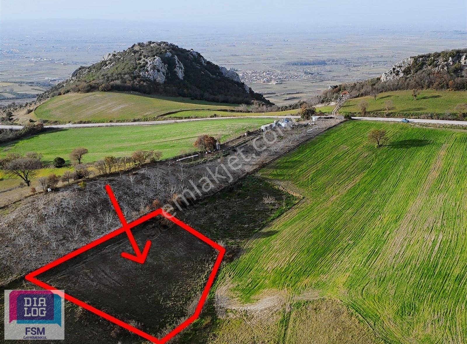 Dialog Fsm Den Tek Tapu Asfalt Yola Yakın 2.450 M2 Hobi Bahçesi - Görsel 9