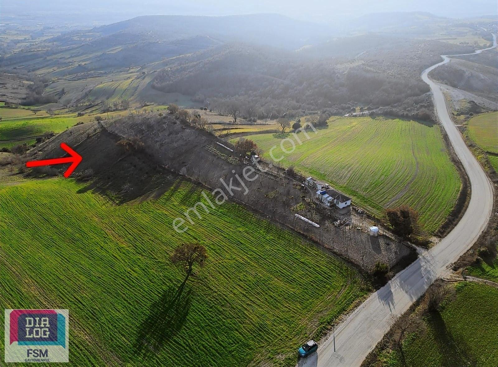 Dialog Fsm Den Tek Tapu Asfalt Yola Yakın 2.450 M2 Hobi Bahçesi - Görsel 2