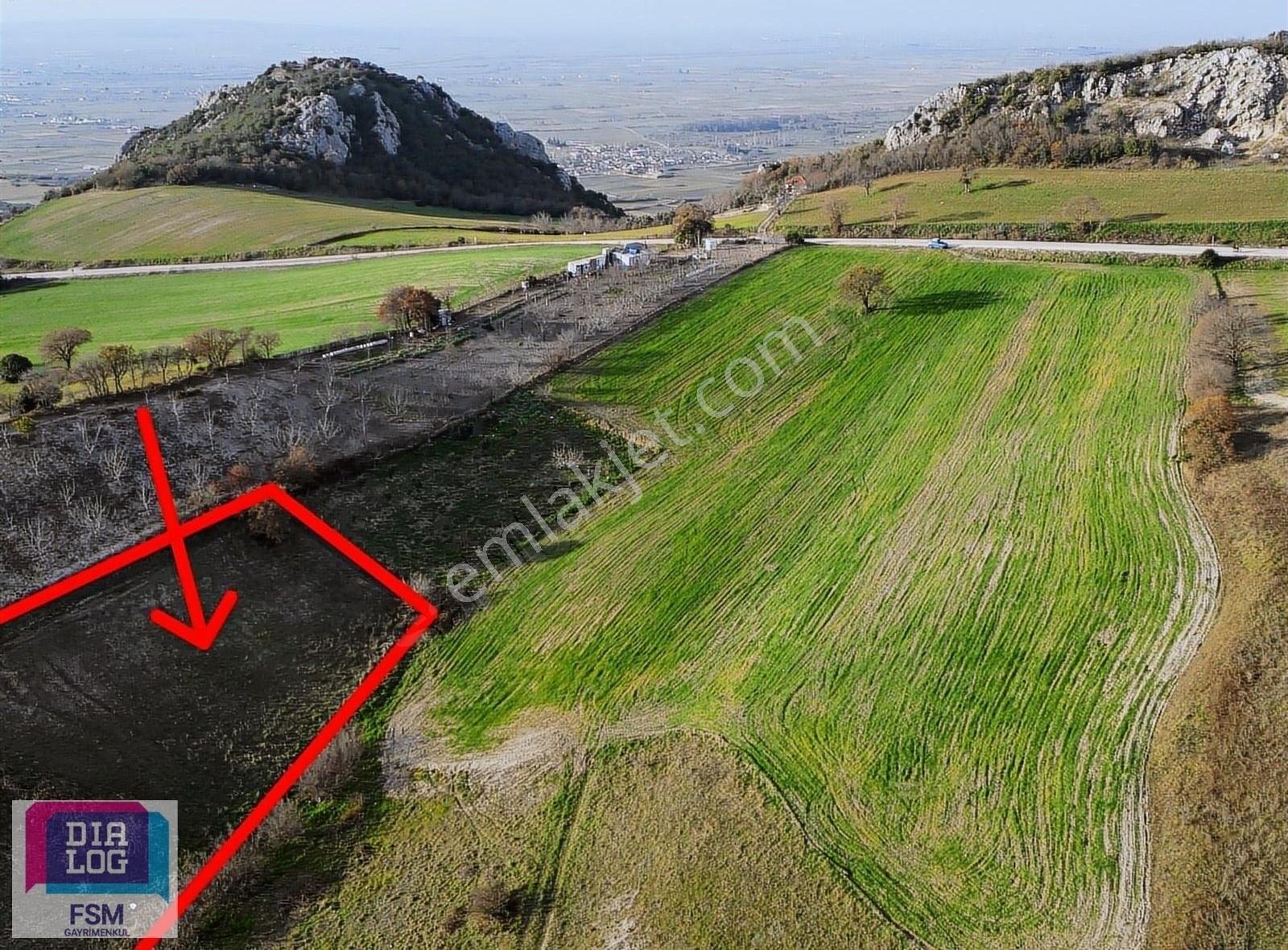 Dialog Fsm Den Tek Tapu Asfalt Yola Yakın 2.450 M2 Hobi Bahçesi - Görsel 5