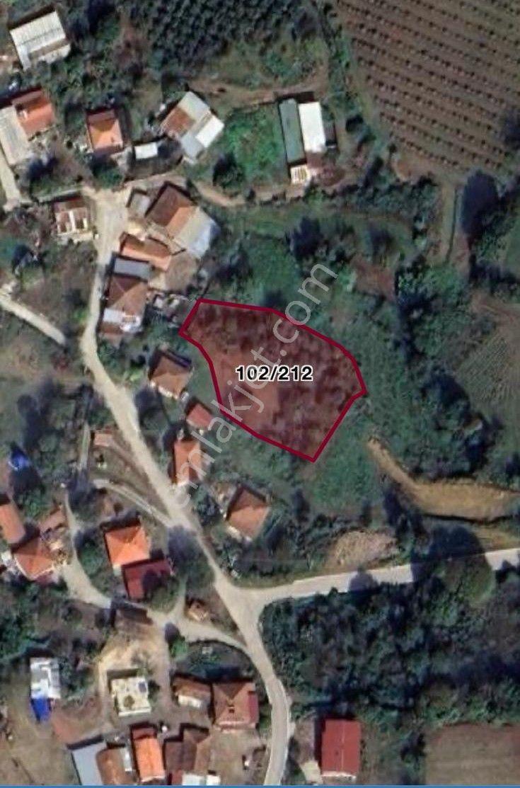 Kandıra Hıdırlar'da Yatırıma Uygun Satılık 1983 M² Tarla