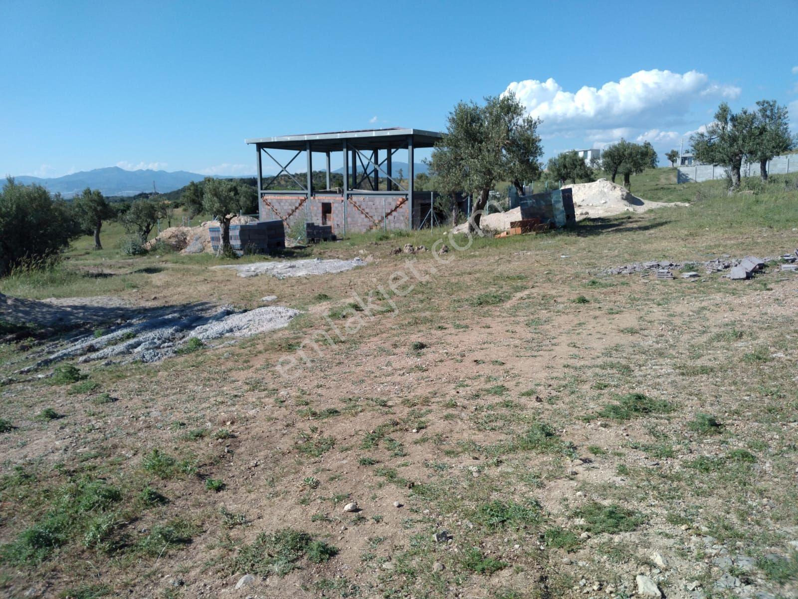 Bergama Zeytindağ Satılık Arsa - Görsel 8