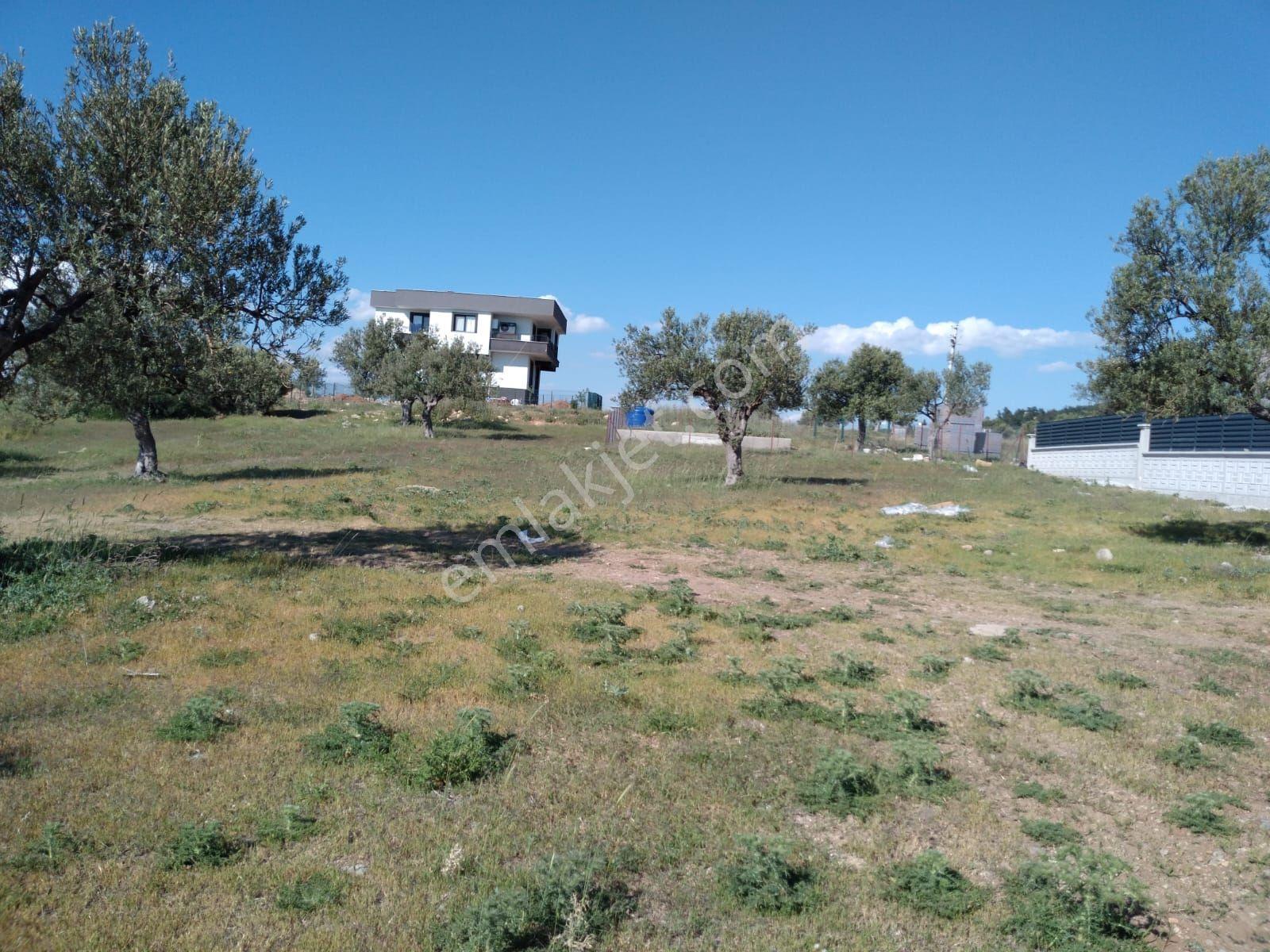 Bergama Zeytindağ Satılık Arsa - Görsel 9